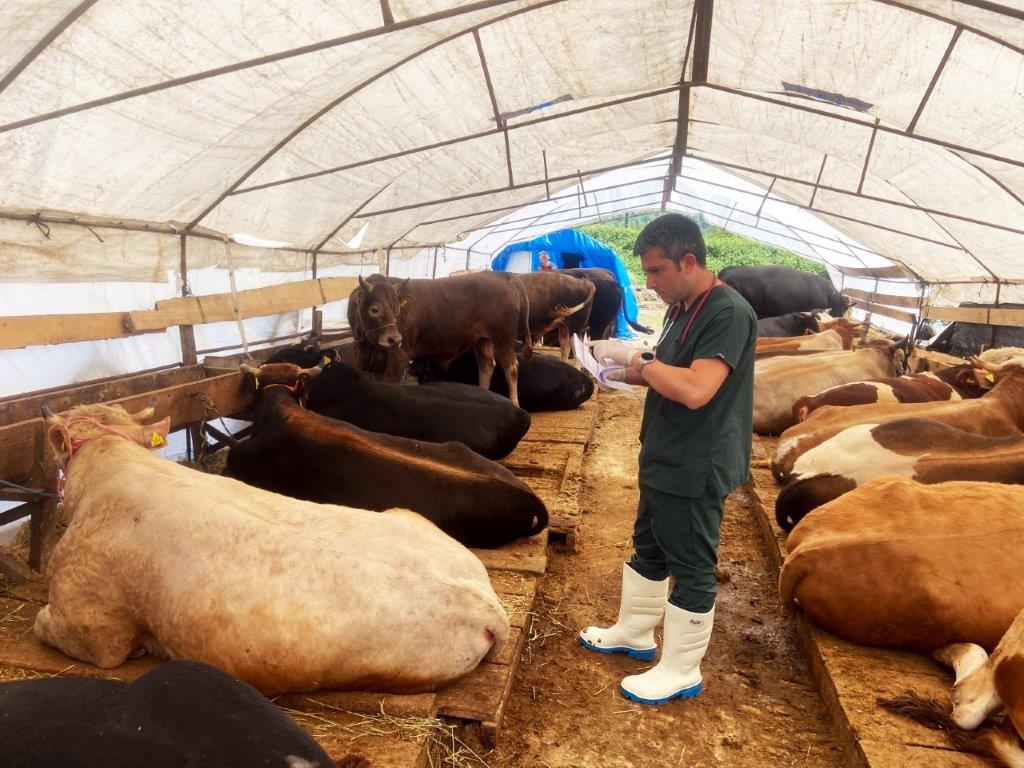 KURBAN PAZARI DENETLENDİ, KURBAN YAKALAMA TİMİ KURULDU