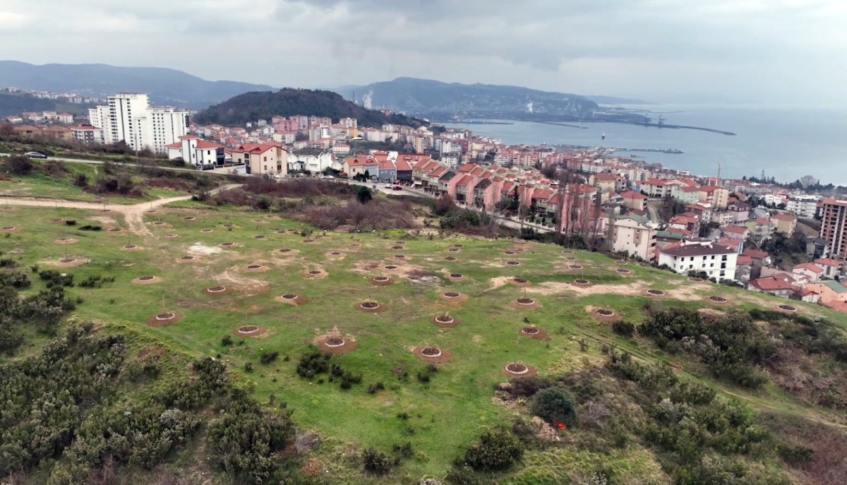 ÇAVDARLI’DA YENİ YAŞAM ALANI ŞEKİLLENİYOR